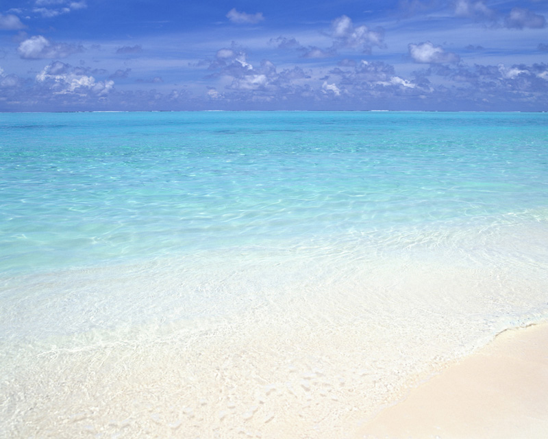 Beach Background 7 Cool Background Background And Wallpaper Home ...