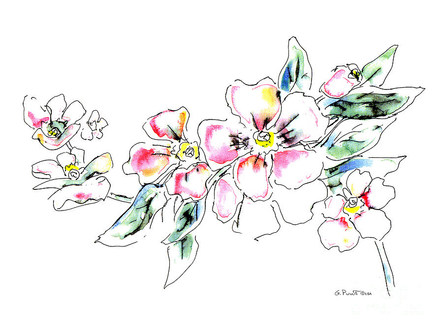 Floral Watercolor Drawings 5 by Gordon Punt