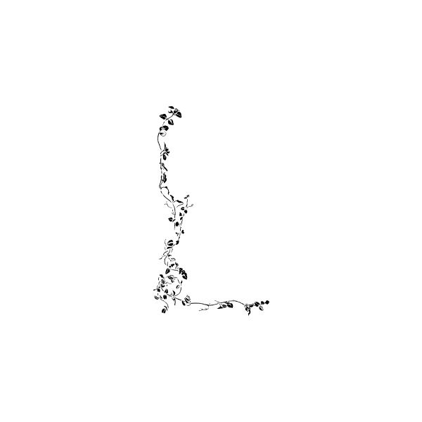 Top 10 Free Flower Borders To Download Now: Unique and Versatile ...