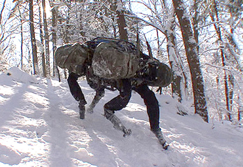 Boston Dynamics BigDog - Rough-Terrain Robot - History, Specs and ...