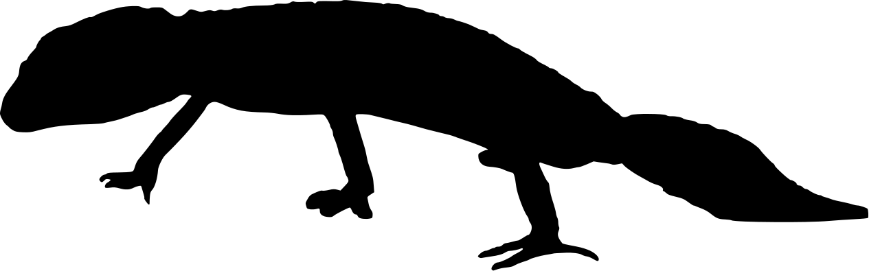 Telecanter's Receding Rules: Silhouettes L