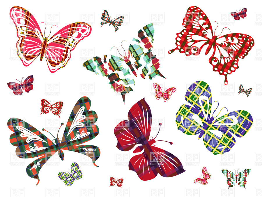 Butterflies with tartan plaid pattern, Plants and Animals ...