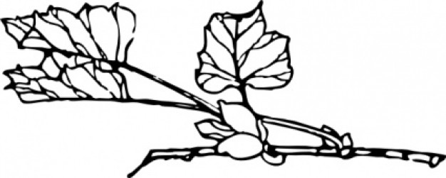 Branch With Flower clip art Vector | Free Download