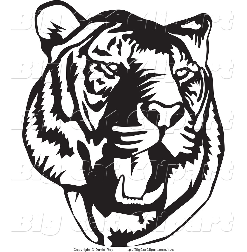 Royalty Free Stock Big Cat Designs of Wildcats - Page 3