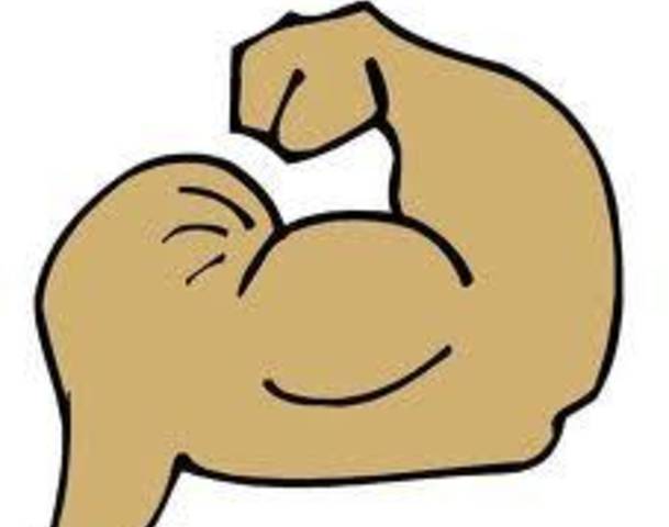 Build Muscle Clipart | Clipart Panda - Free Clipart Images