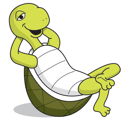 Animated Turtle Names images