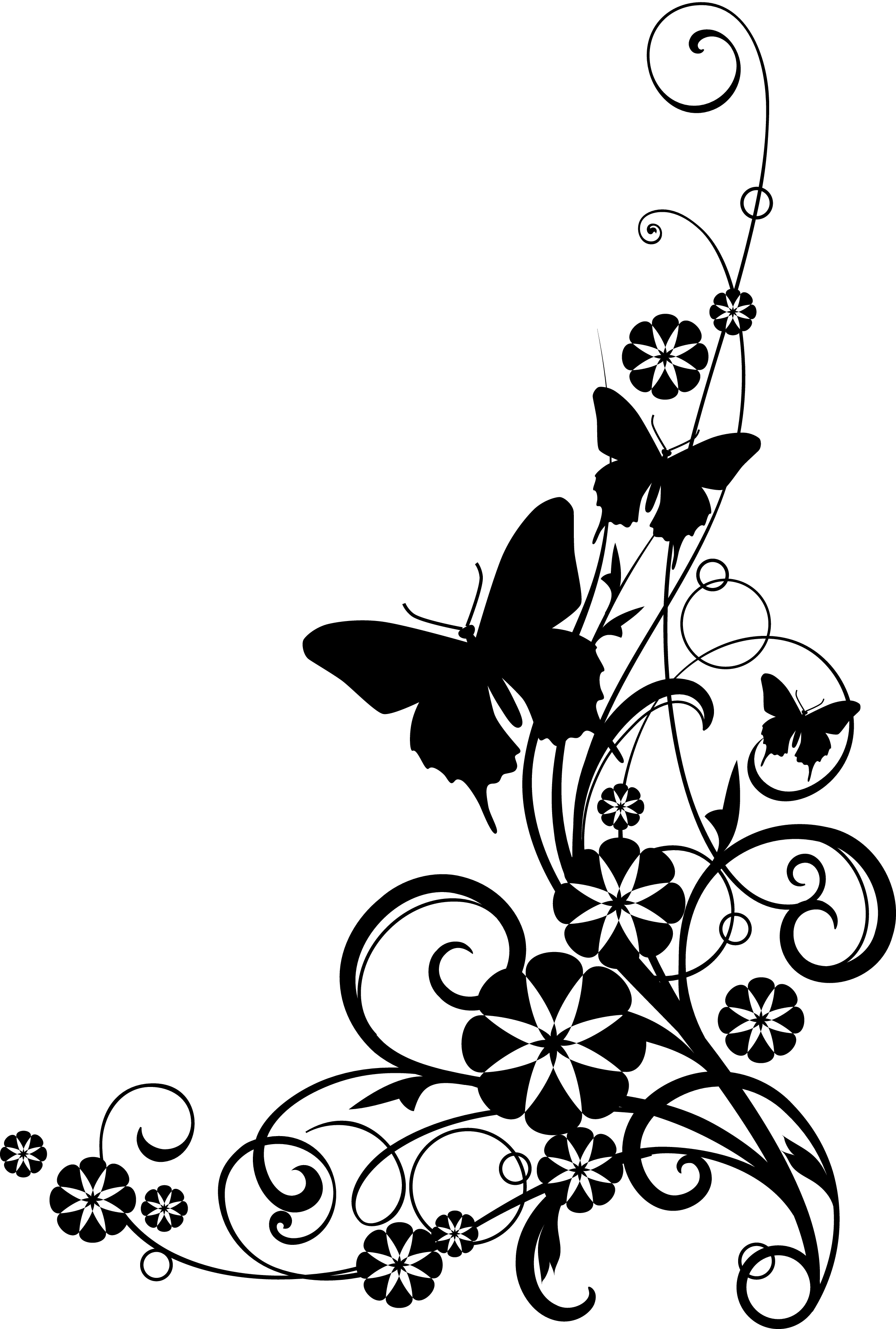 Rose Clip Art Black And White Border - Gallery