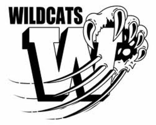 Wildcat Drawings Related Keywords & Suggestions - Wildcat Drawings ...