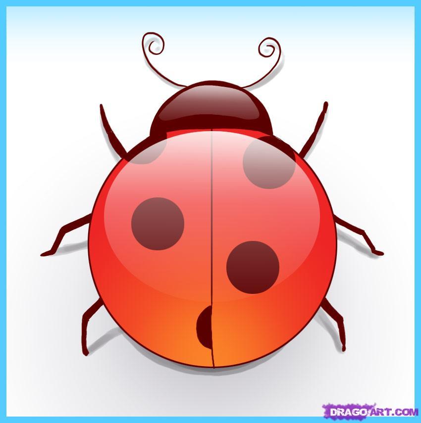 How to Draw a Ladybug, Step by Step, Bugs, Animals, FREE Online ...