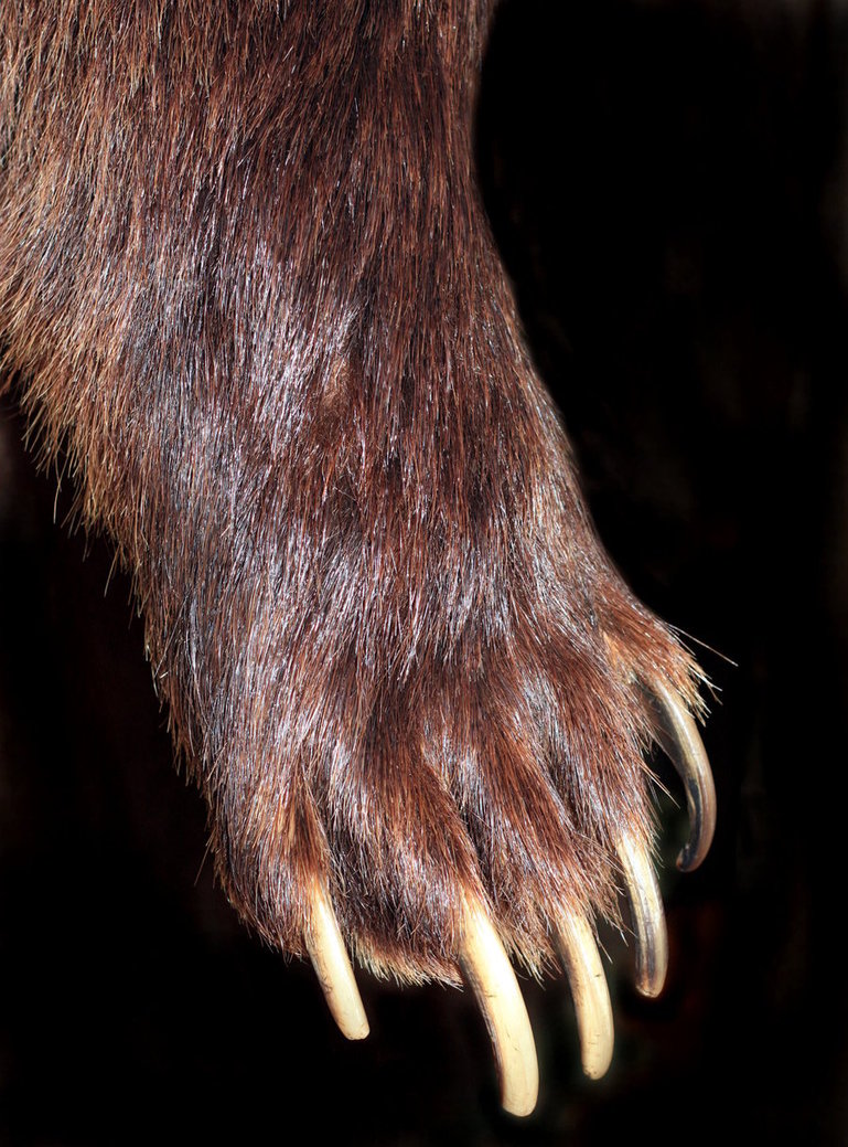 Man-terview with Josh "Fist Steak" Reams - Northwest Nazarene ...