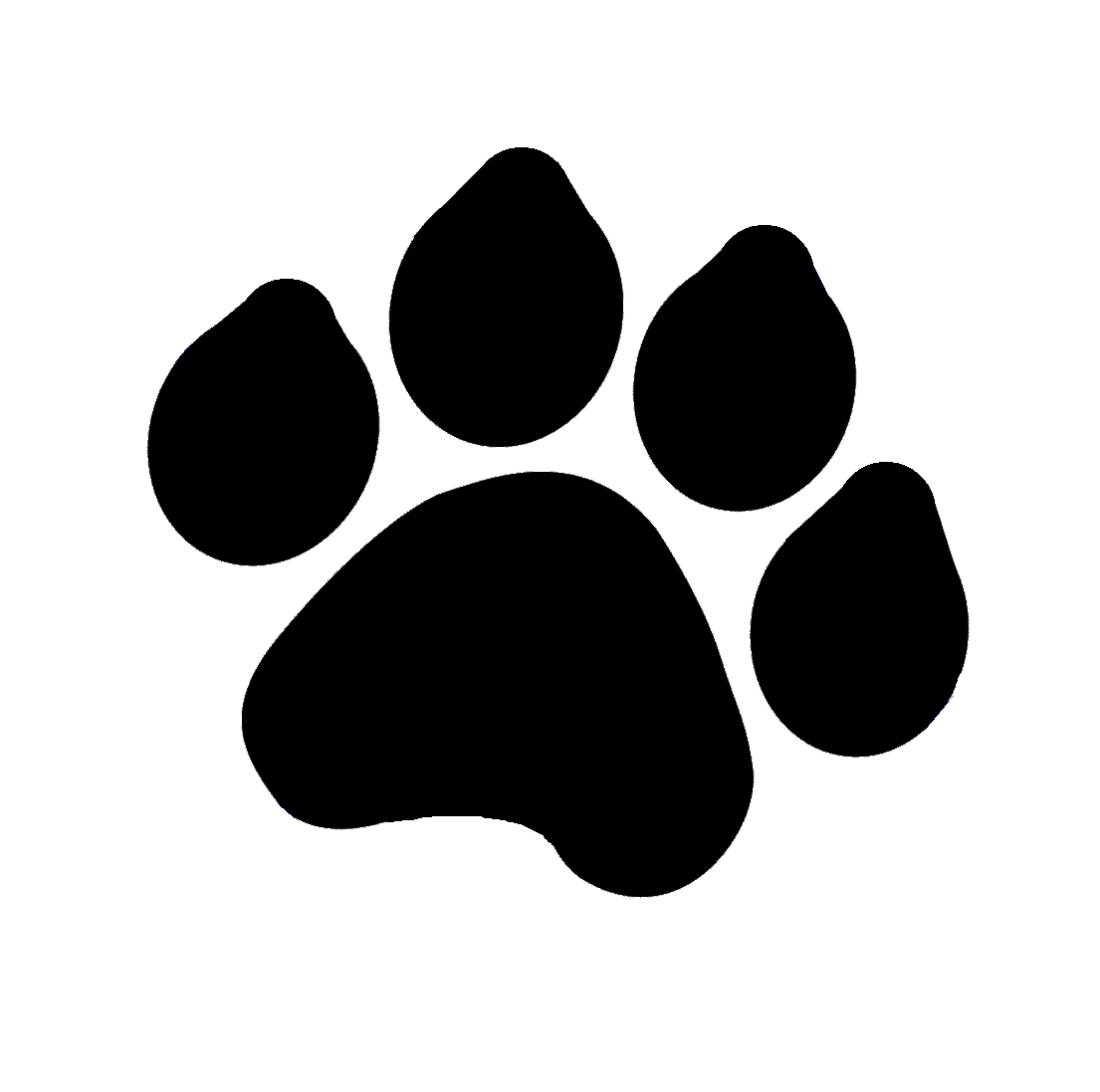 Quotes about cats from great writers | chasingtheturtle