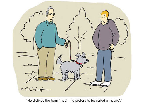 13 Funny Dog Cartoons | Reader's Digest Reader's Digest