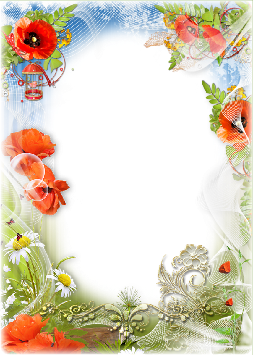 Transparent PNG Frames - page 53