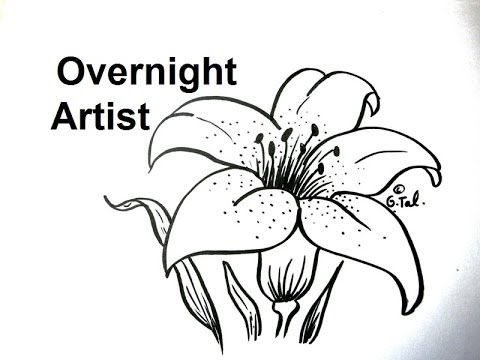 How To Draw Flowers - Draw A Lily Flower Easy Step By Step - YouTube