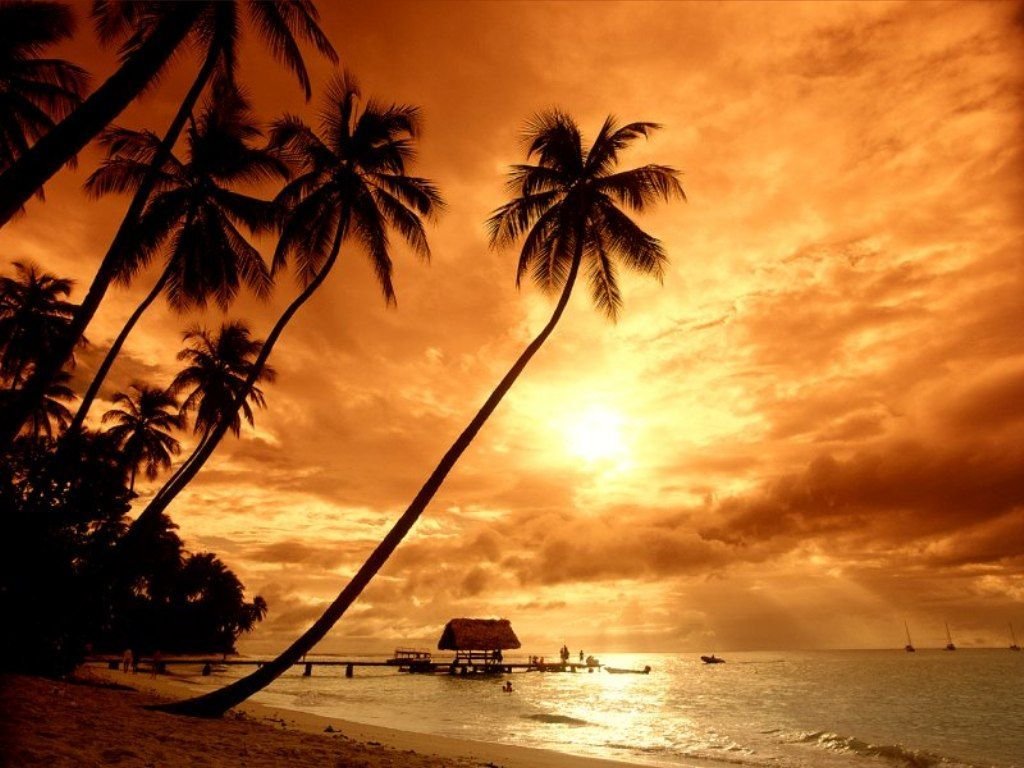 Beach-background-1 |