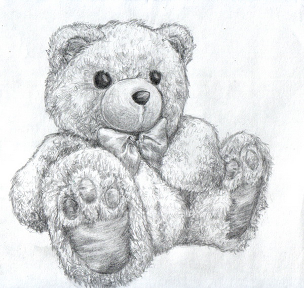 Teddy Bear Drawing | DrawingSomeone.com