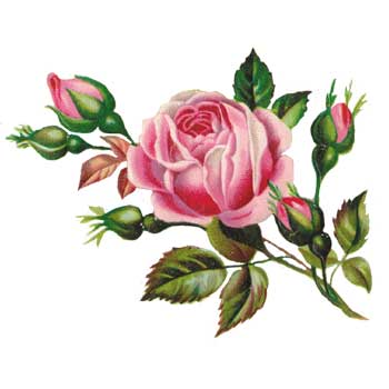 Art Rose Flower - ClipArt Best