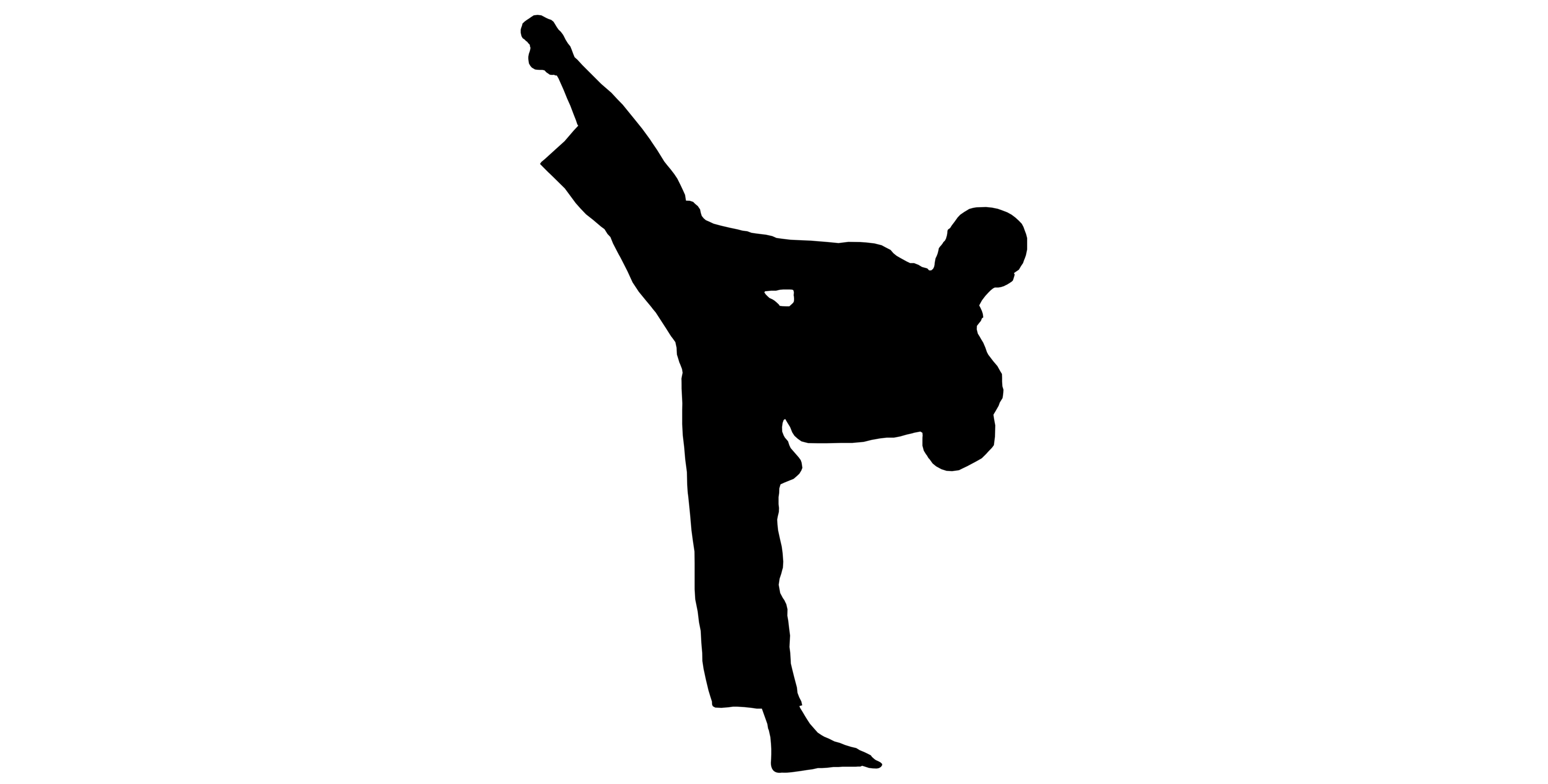 Images > Karate Moves Step By Step