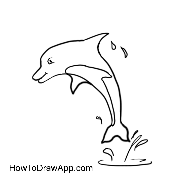 Learn how to draw a dolphin step by step.