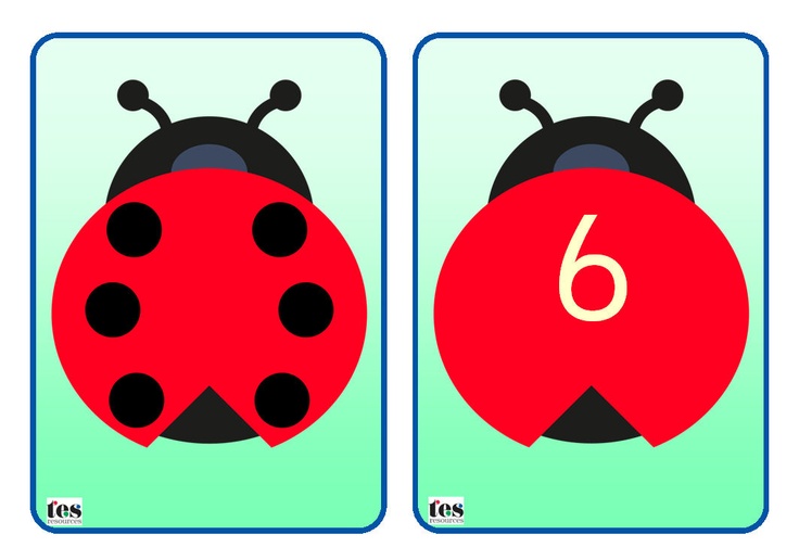 Four resources that use matching clip art. Each ladybird has an ...
