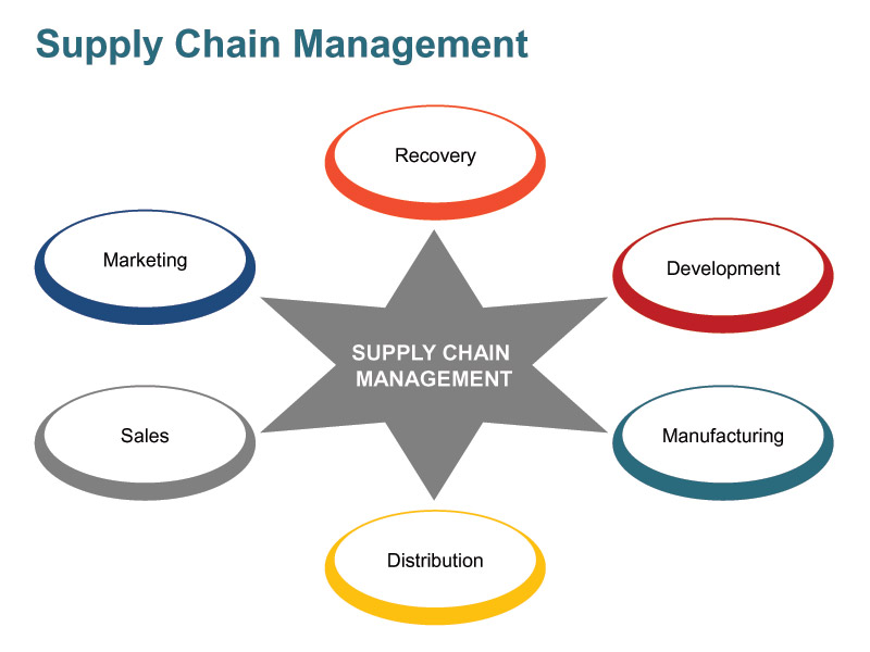 supply-chain-management- ...
