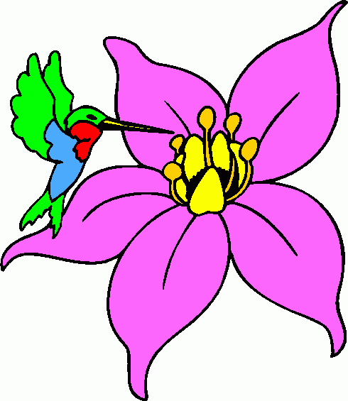 Hummingbird Clipart Free - ClipArt Best