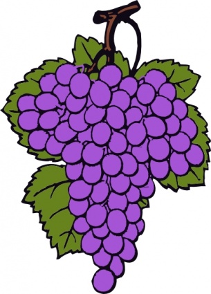 Grape Cluster clip art clip arts, free clipart - ClipartLogo.