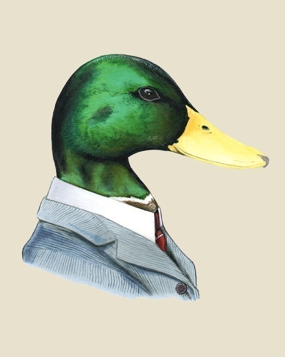 Pin Pin Mallard Duck Tattoo Rate My Ink Pictures On Pinterest on ...