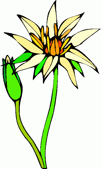 lotus_flower clipart - lotus_flower clip art