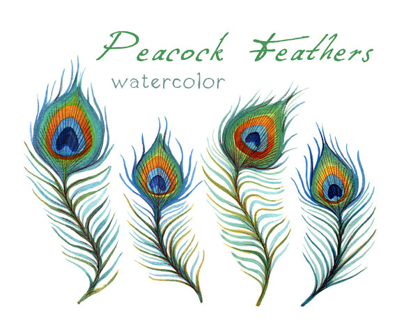 Peacock Feather Clipart Black And White | Clipart Panda - Free ...