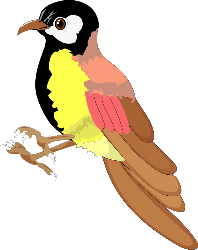 Bird 24 Free Vector / 4Vector