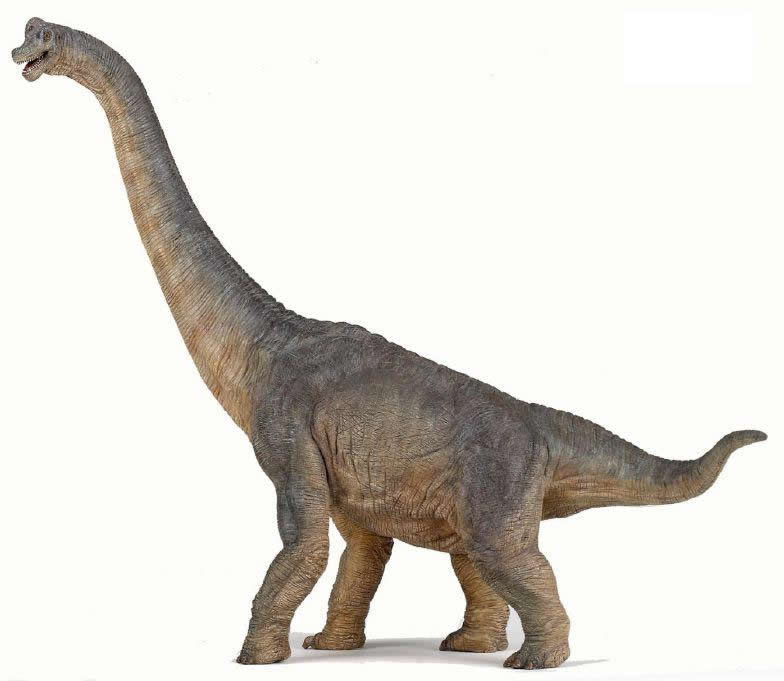 Papo Prehistoric Figures | The Dinosaur Farm