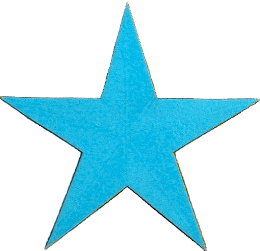 Blue Star 90006 | MOVDATA