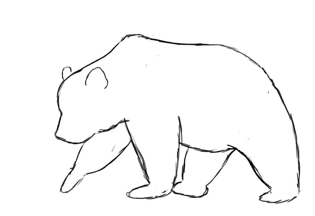 How To Draw A Bear - Draw Central