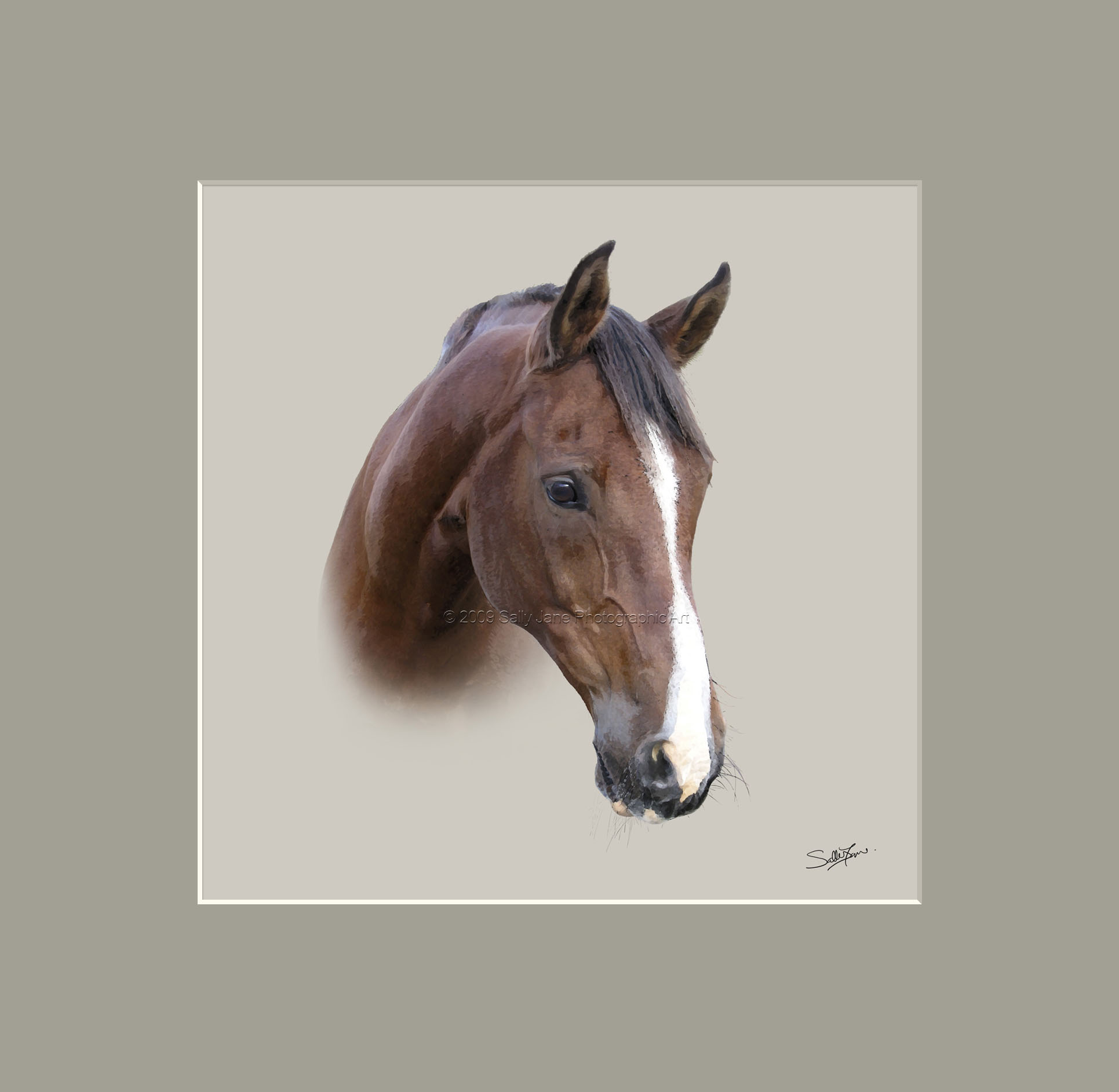 Pet Portraits - portrait gallery. Horse portraits.