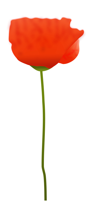 Poppy_Flower_Vector_Clipart.png