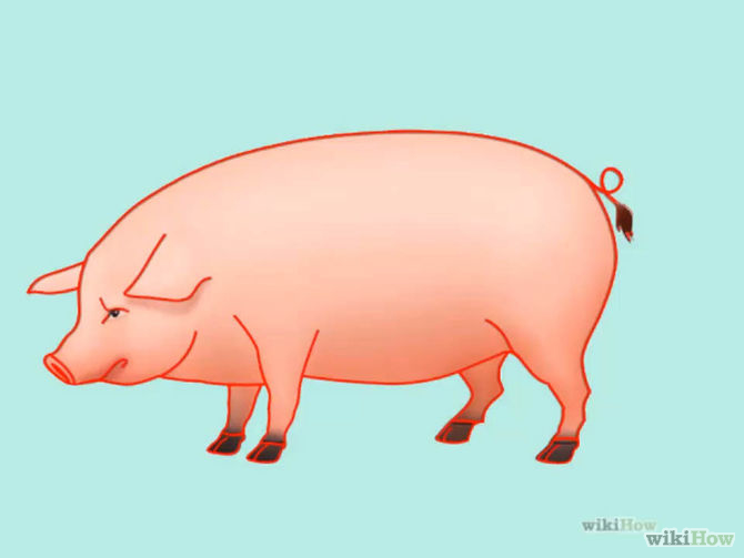 How to Draw a Pig: 14 Steps (with Pictures) - wikiHow