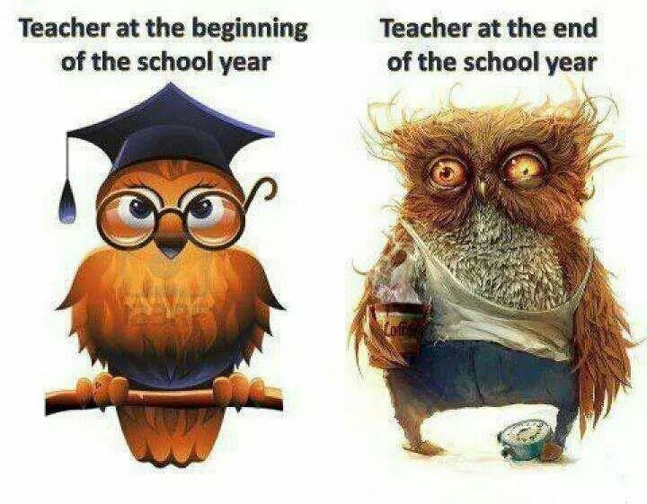 Teachers | clipart, oddities, awesomeness | Pinterest