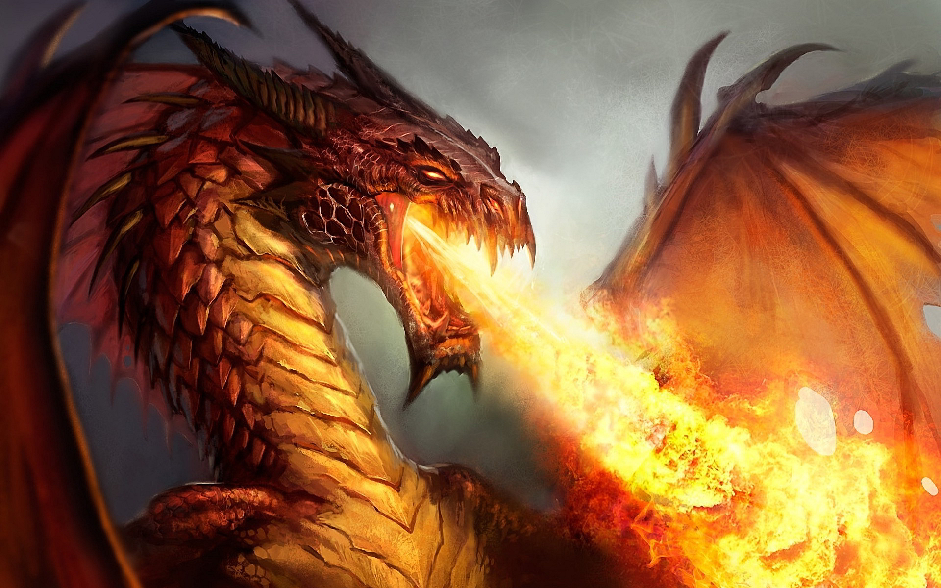 1609 Dragon HD Wallpapers | Backgrounds - Wallpaper Abyss - Page 8