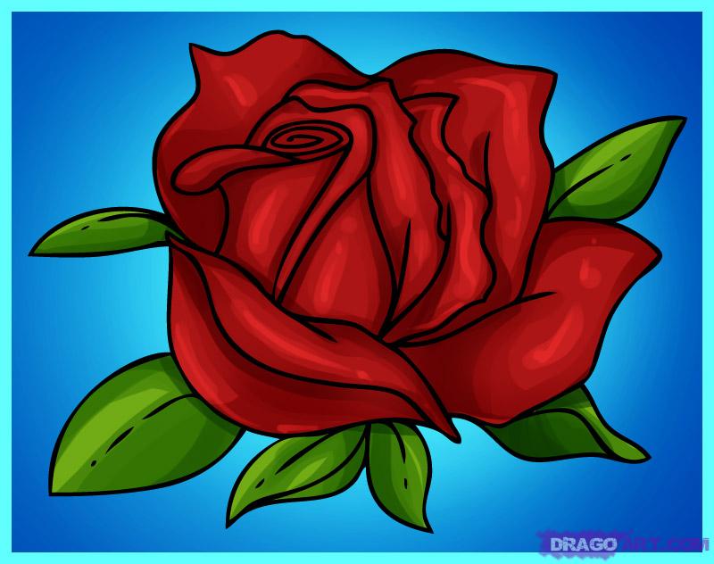 How to Draw a Cartoon Rose, Step by Step, Flowers, Pop Culture ...