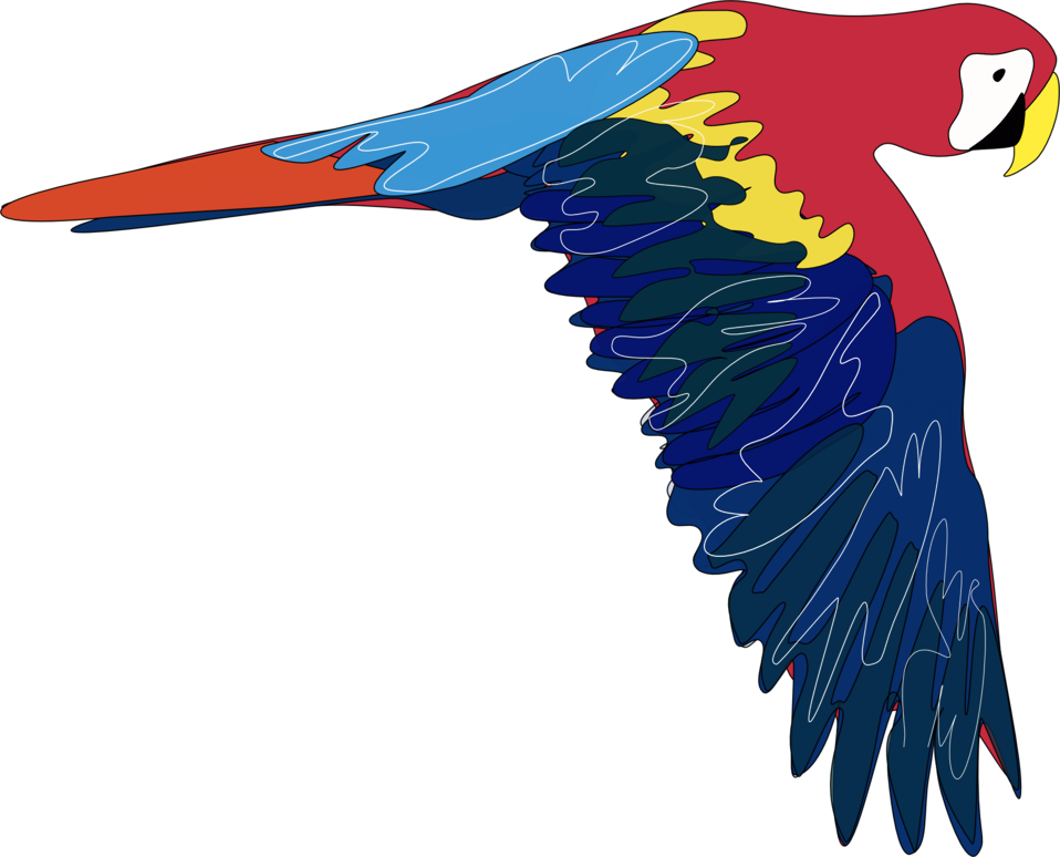 Public Domain Clip Art Image | Guacamaya | ID: 14019499227724 ...