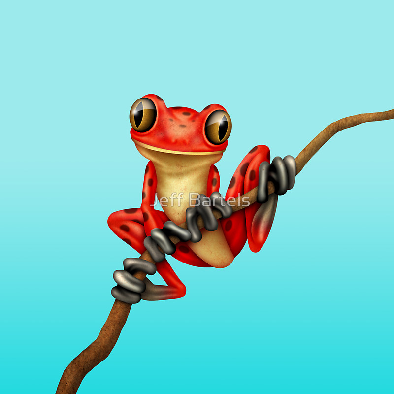 Cute Red Tree Frog on a Branch" Throw Pillows by Jeff Bartels ...