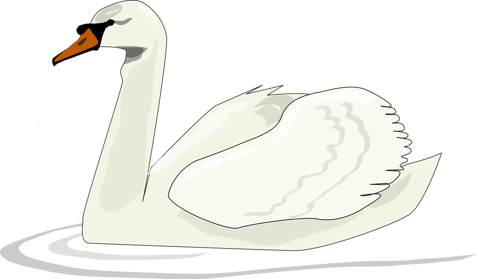 Free Stock Photos | Illustration of a swan swimming | # 10657 ...