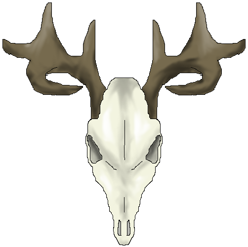 Whitetail Deer Skull Drawings - ClipArt Best