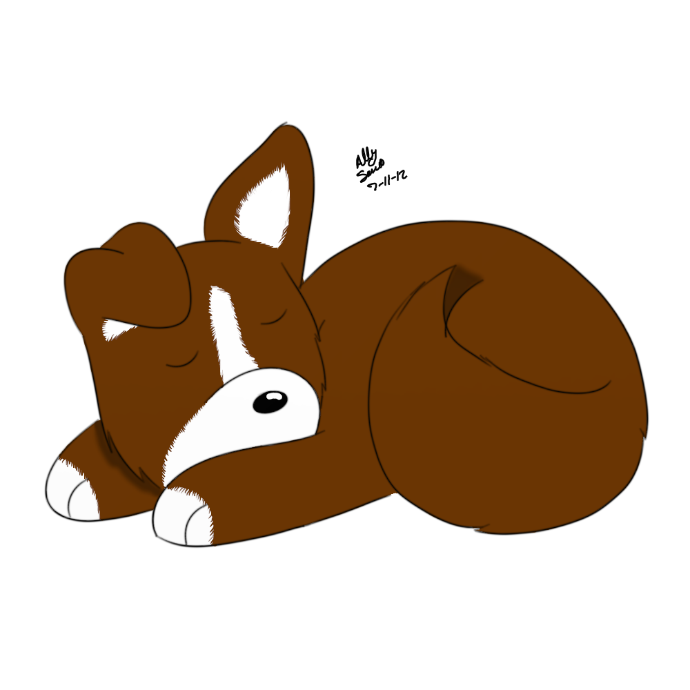 Sleeping Puppy Drawing - AllyS © 2014 - Jul 11, 2012