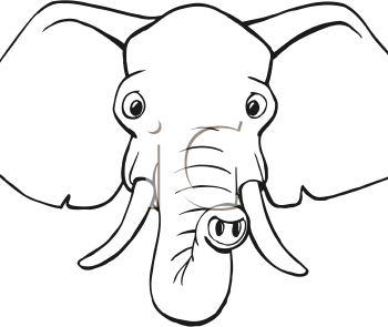 Elephant Face Drawing - Gallery
