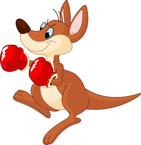 Kangaroo Cartoon | lol-