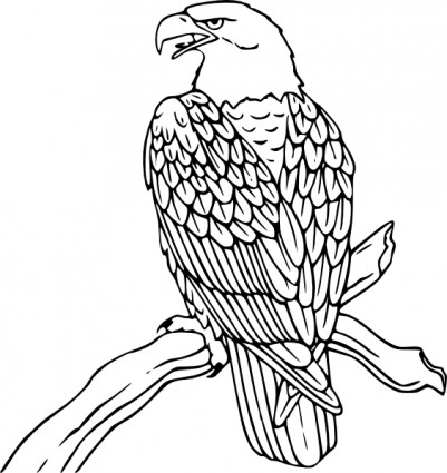 American Eagle clip art Vector clip art - Free vector for free ...
