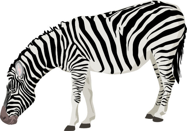 Zebra Clipart | clip art, clip art free, clip art borders, clip ...