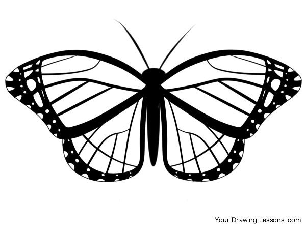 butterfly_drawing.jpg
